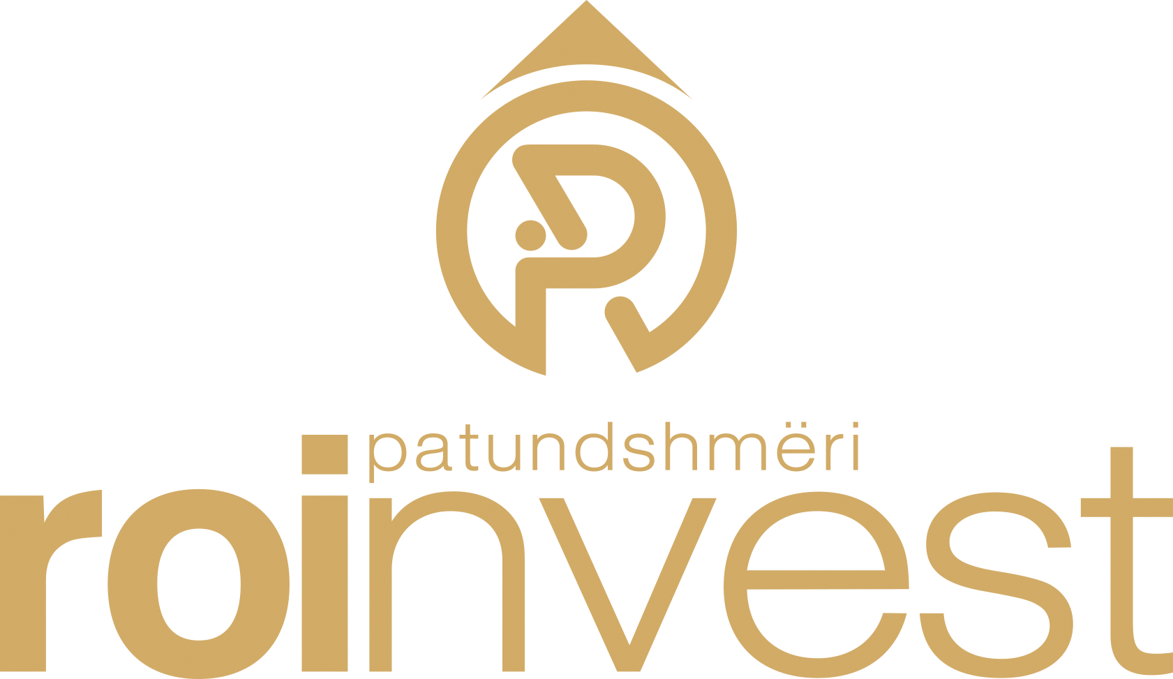 Roinvest Patundshmëri